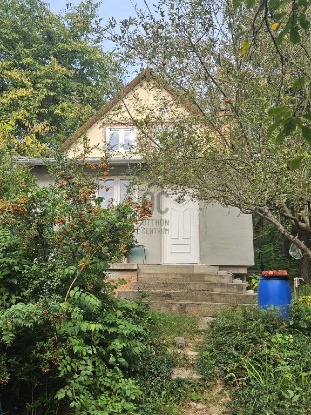 For sale house, Budakeszi, Nagyszénászug, Eszter utca