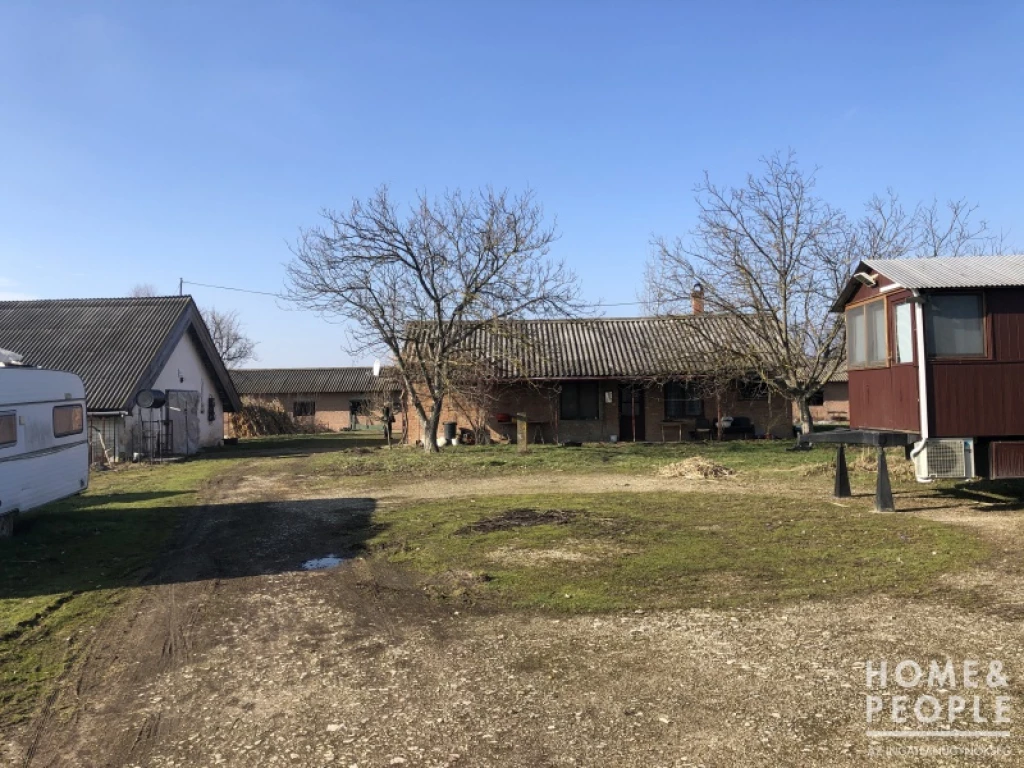 For sale other agricultural, Szentes