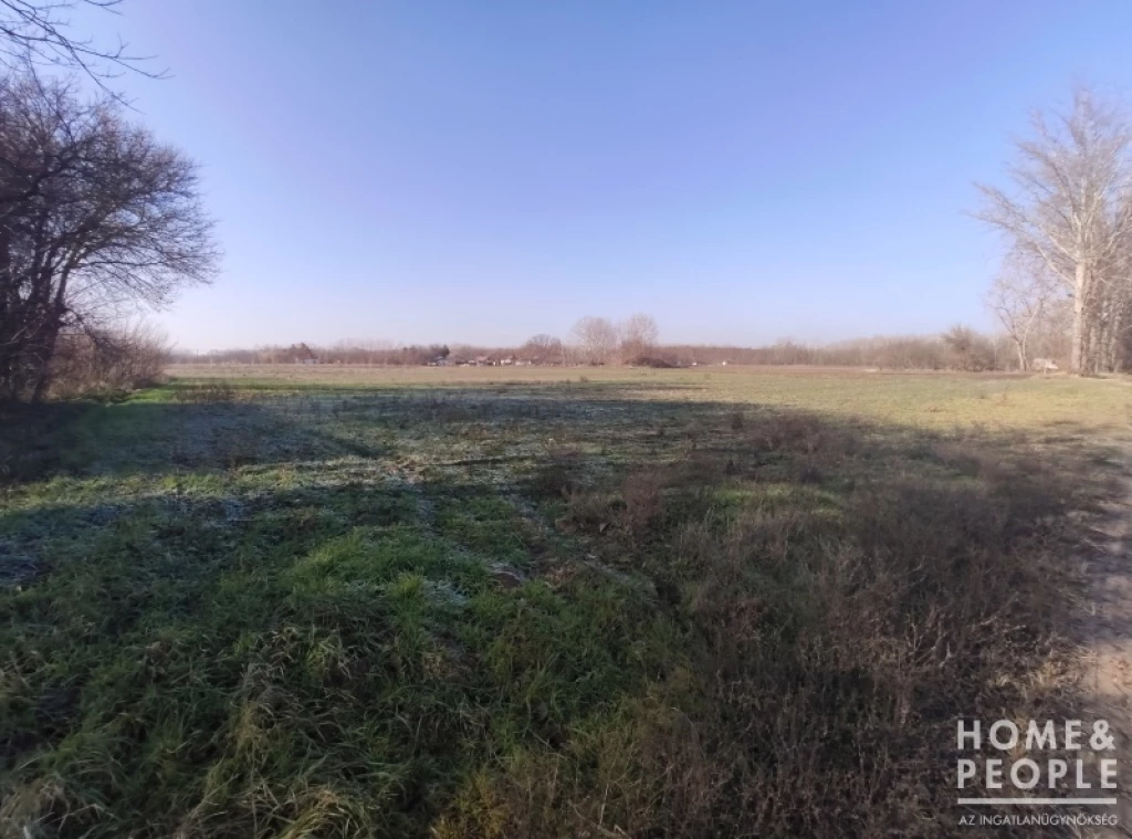 For sale other agricultural, Dóc