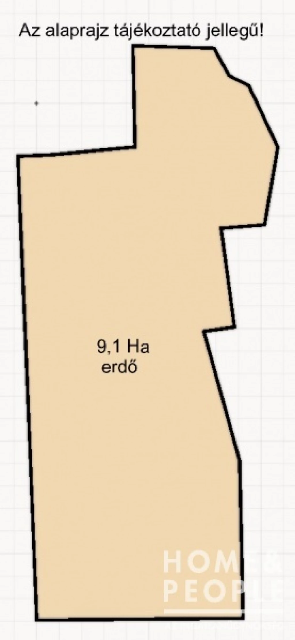 Eladó erdő, Ásotthalom!