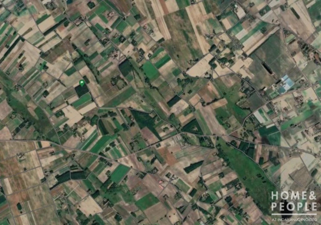 Zákányszéken erdő eladó!