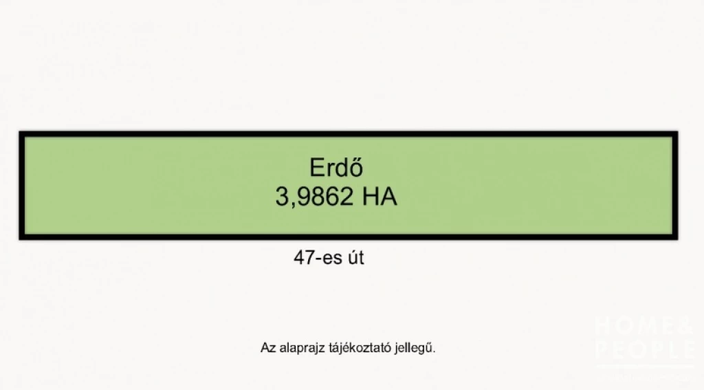 47-es út mellett erdő eladó