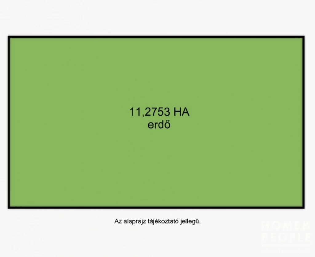 Balotaszállási erdő