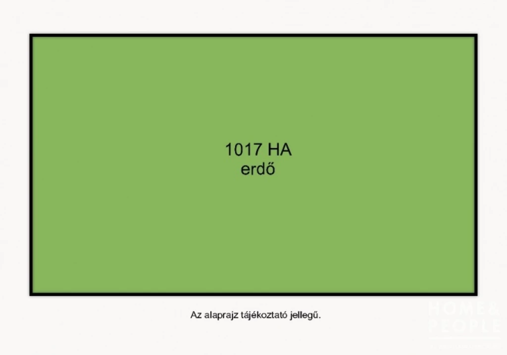 Erdő rész eladó Balotaszálláson