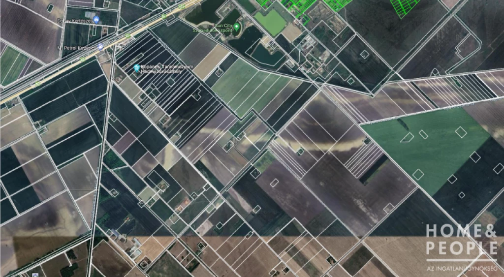 Eladó szántó Hódmezővásárhelyen!