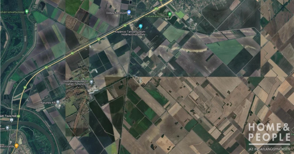 Eladó szántó Hódmezővásárhelyen!