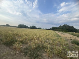 Eladó Telek