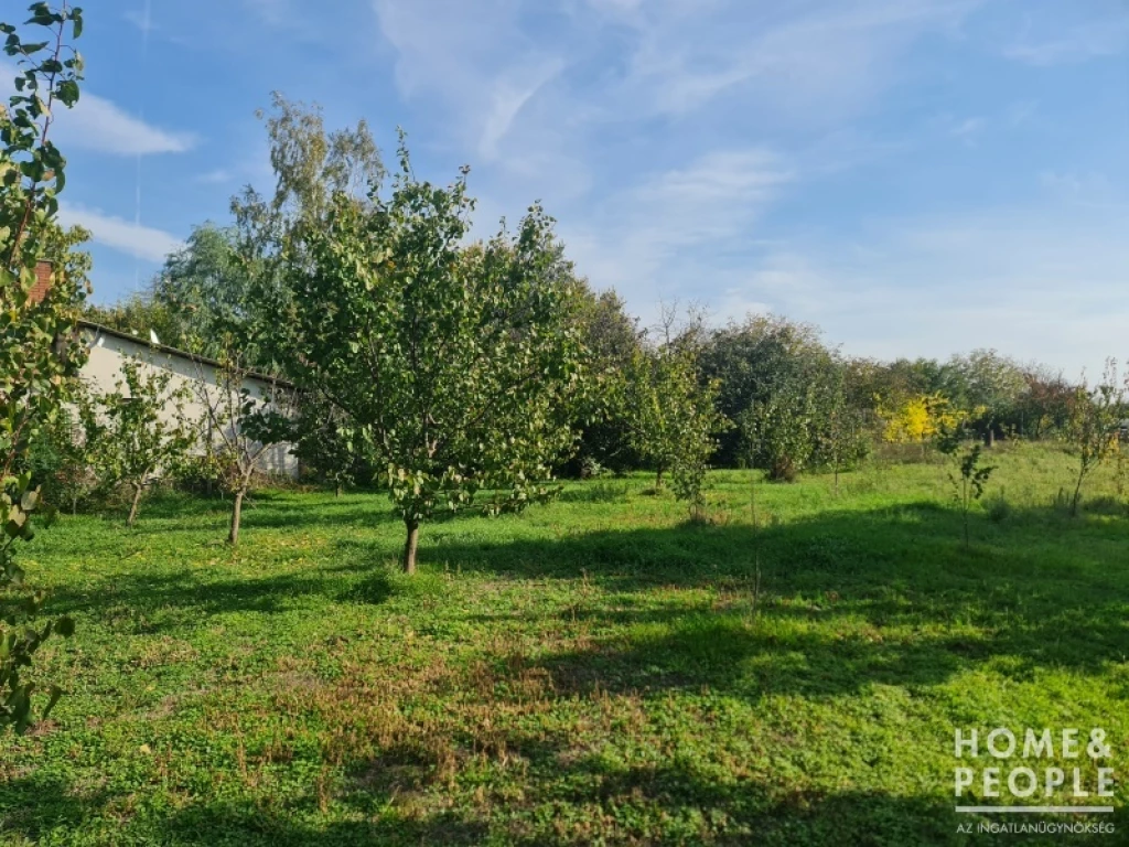 For sale building plot, Hódmezővásárhely