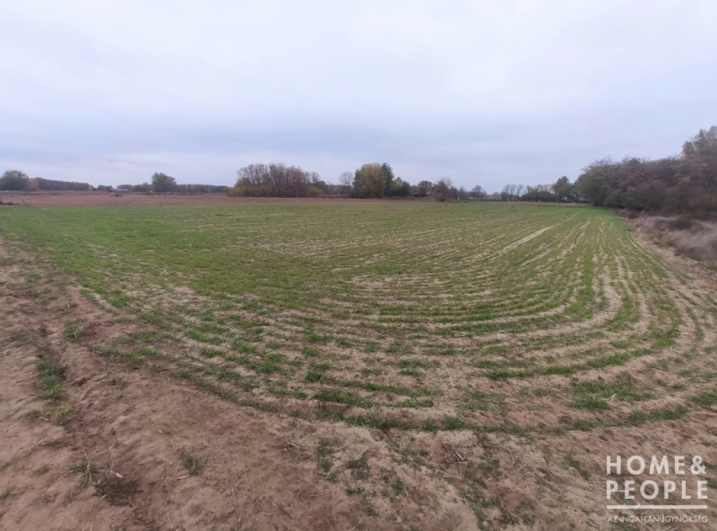 For sale building plot, Zsombó