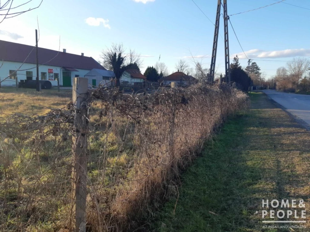 For sale building plot, Szatymaz