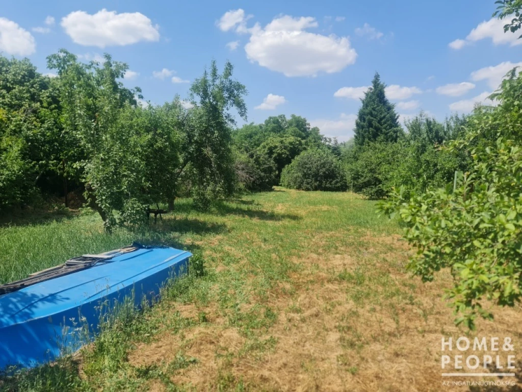 Eladó építési telek, Hódmezővásárhely