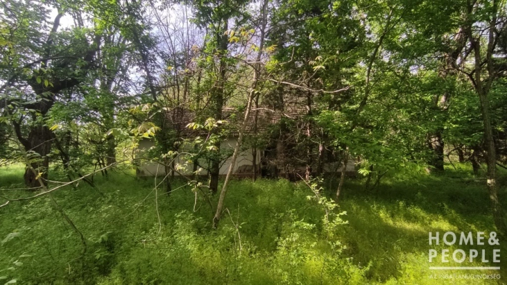 Eladó tanya Ásotthalmon