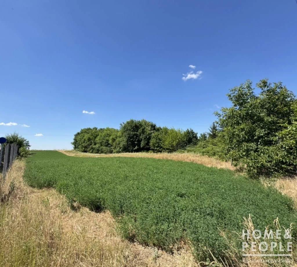 For sale closed garden, Röszke