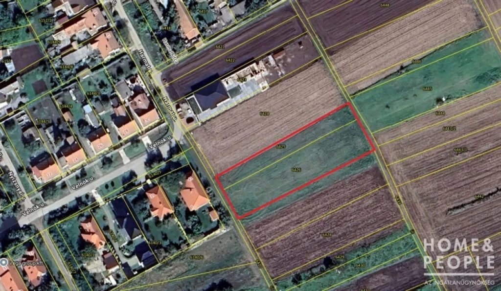 For sale building plot, Makó