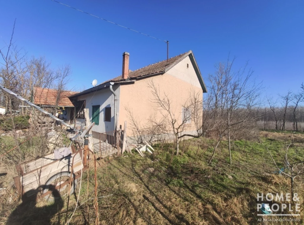 Eladó tanya Ópusztaszeren!