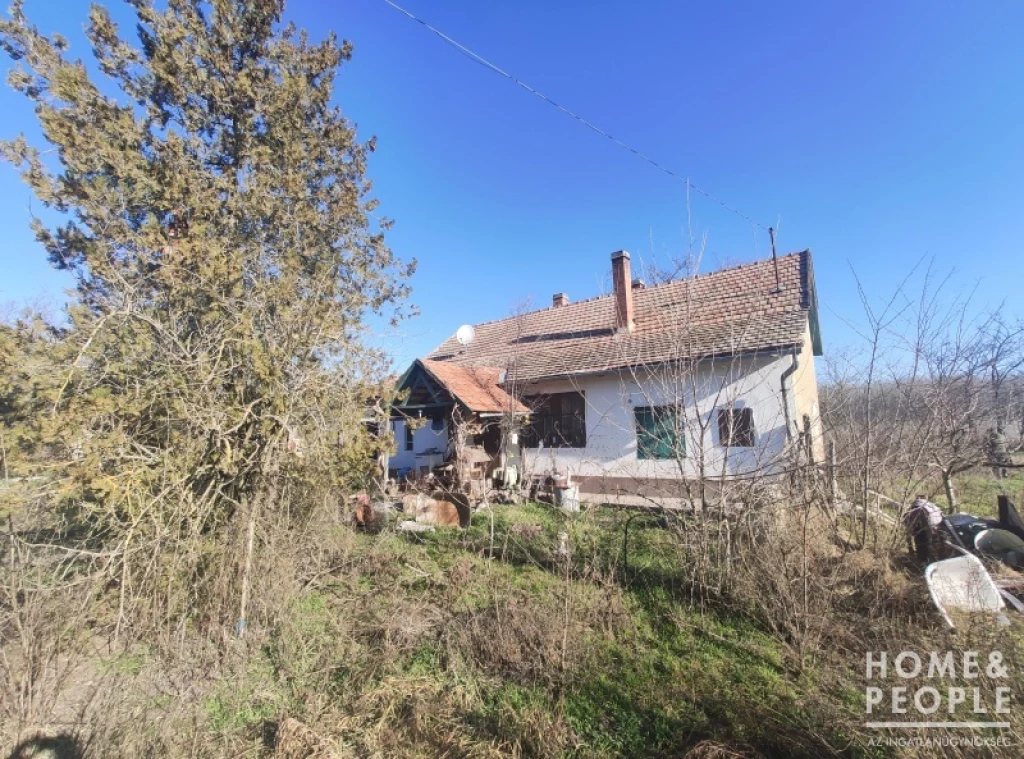 Eladó tanya Kistelek mellett!