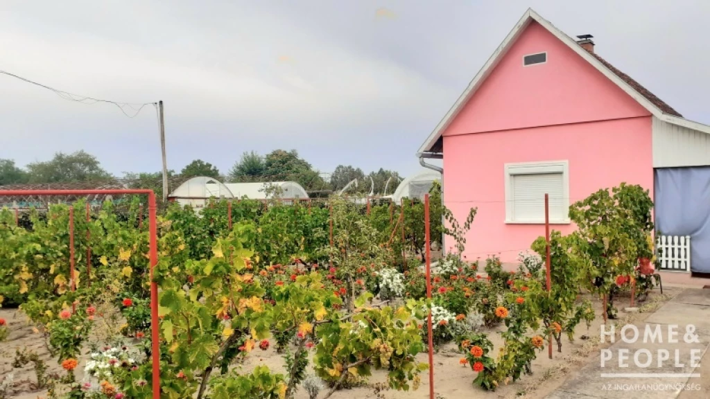 For sale holiday house, summer cottage, Domaszék