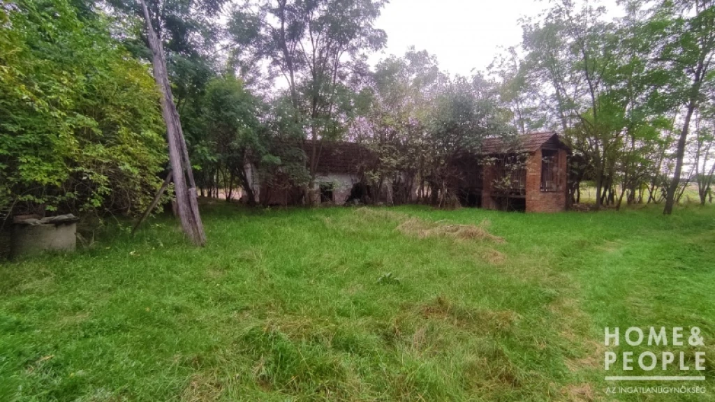 c3-1-name c2-1-name, Balástya