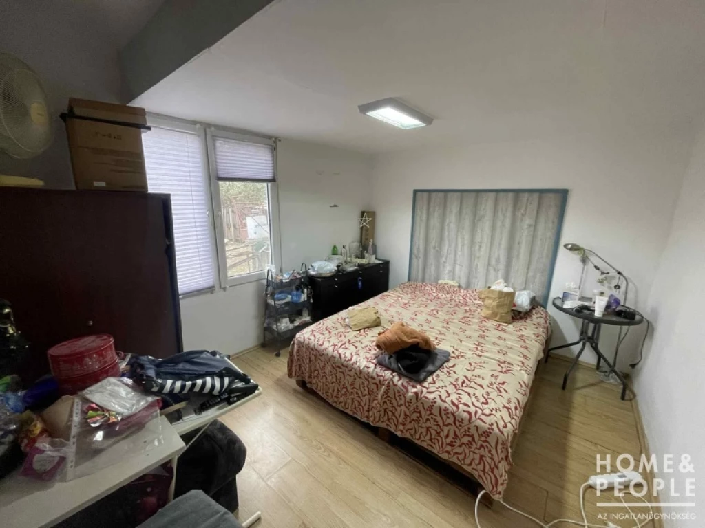 c3-1-name c2-81-name, Szeged, Hattyas