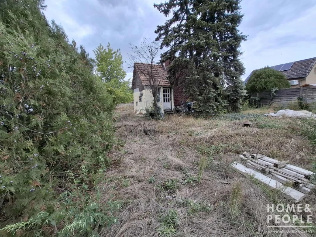 c3-1-name c2-81-name, Szeged, Subasa