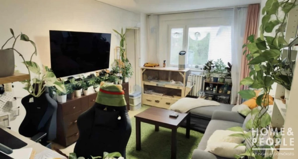 Újszegedi panel lakás eladó!