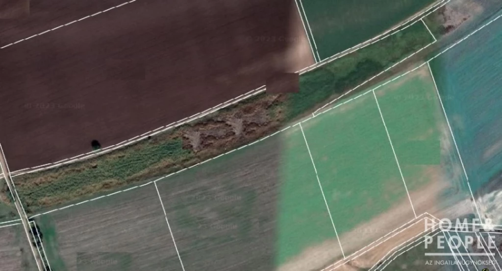 c3-1-name c2-60-name, Deszk