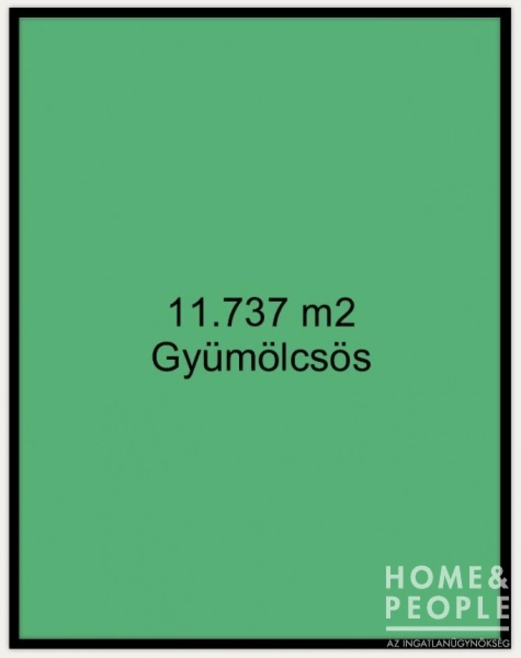 For sale other agricultural, Ruzsa