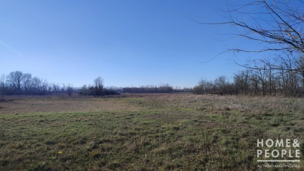 For sale other agricultural, Szatymaz