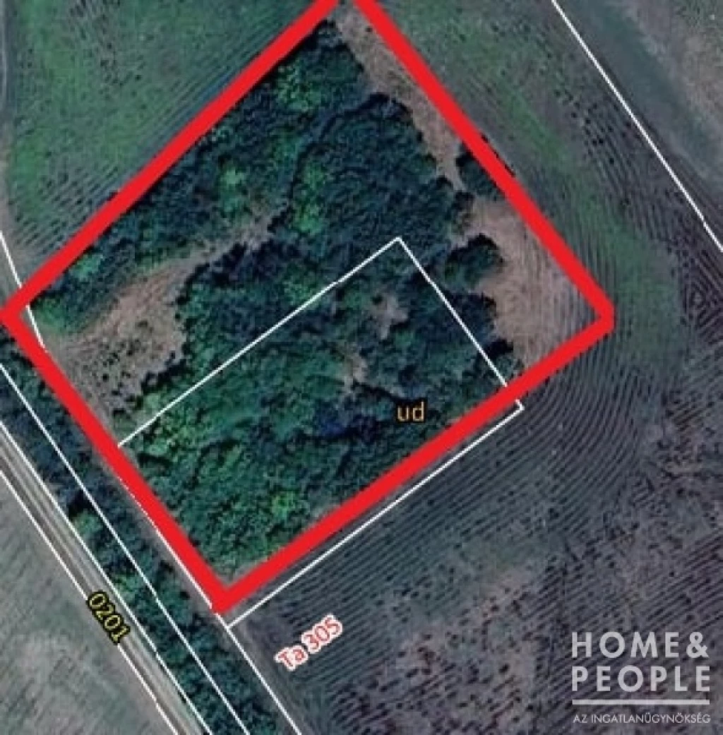 Mártély külterületén tanya terület eladó!