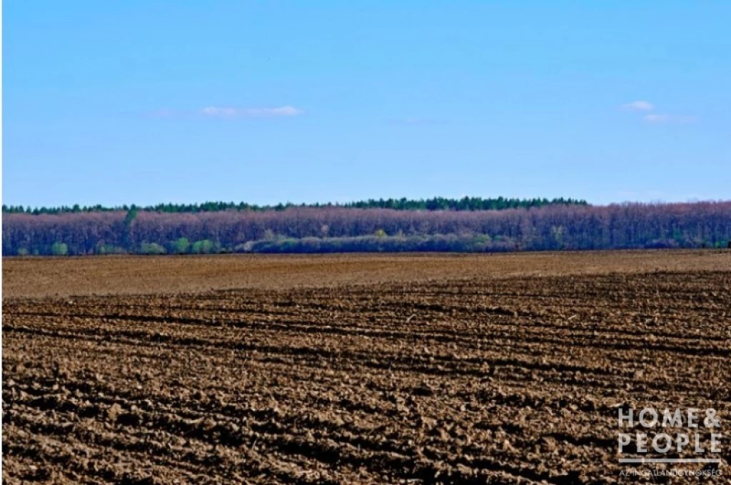 For sale other agricultural, Üllés