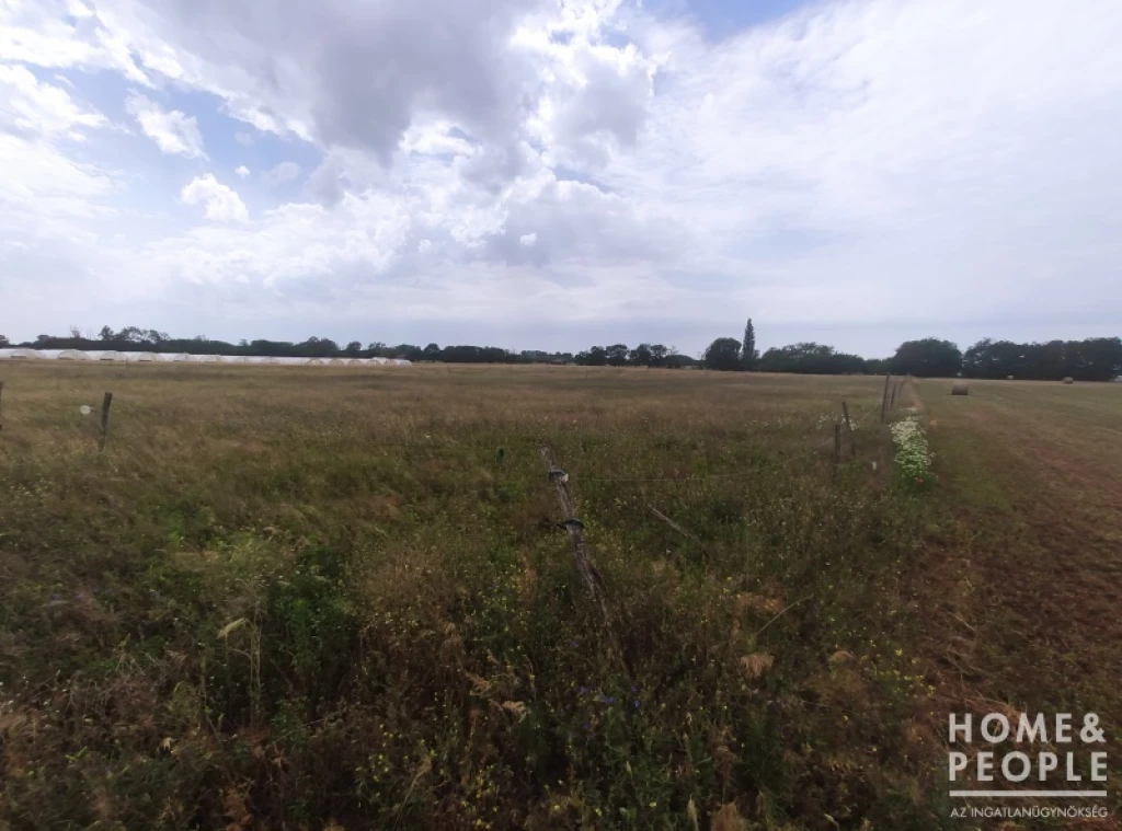 Eladó szántó Ópusztaszeren!