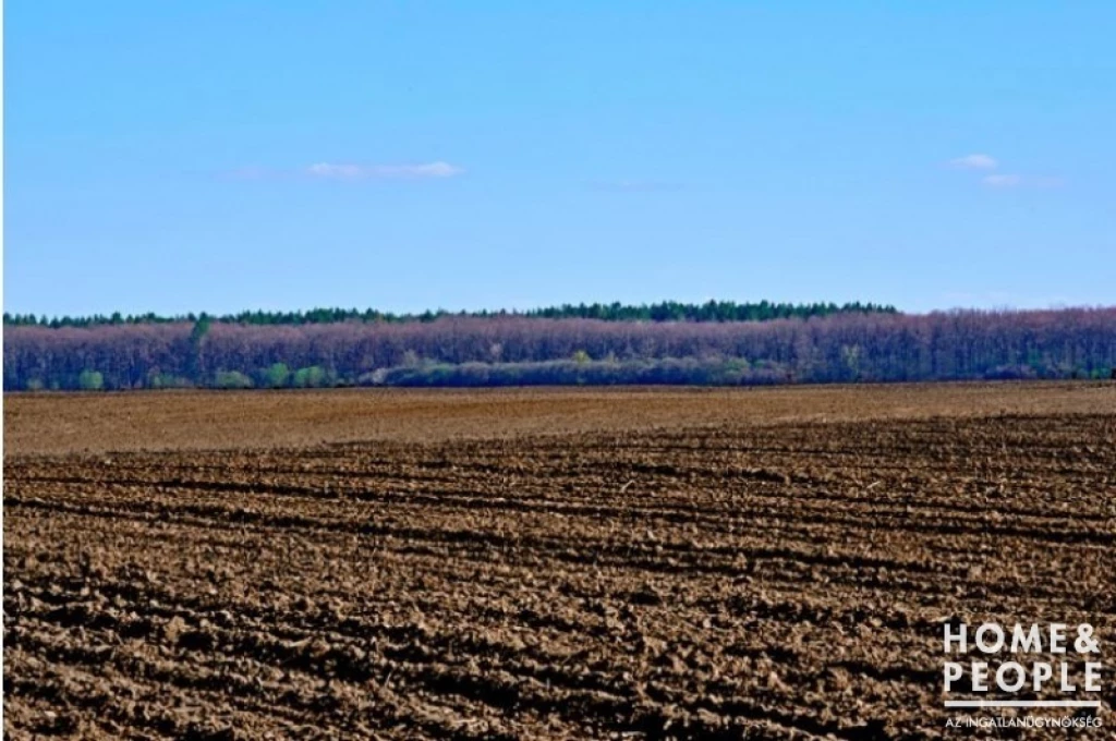 Tiszaszigeten szántó eladó!
