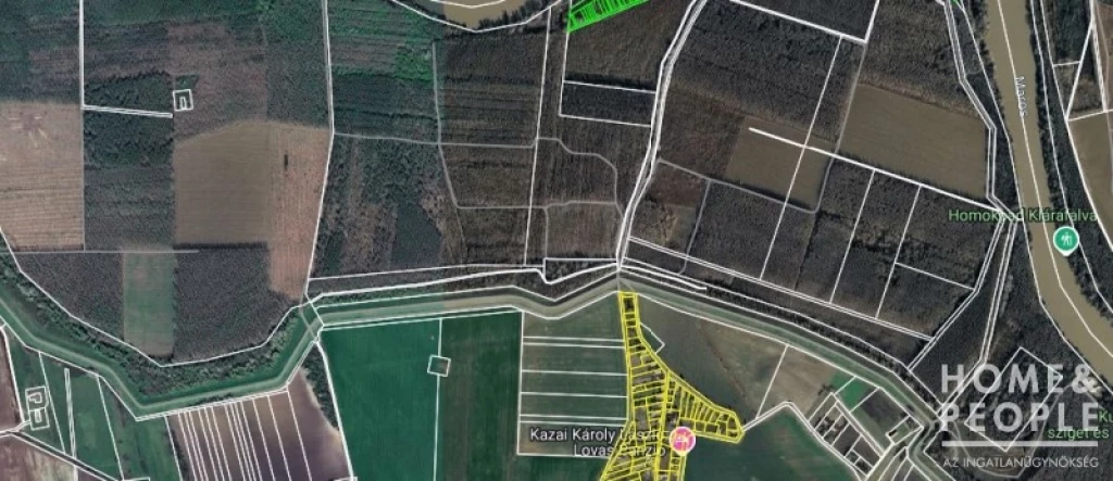 Klárafalván erdő eladó!