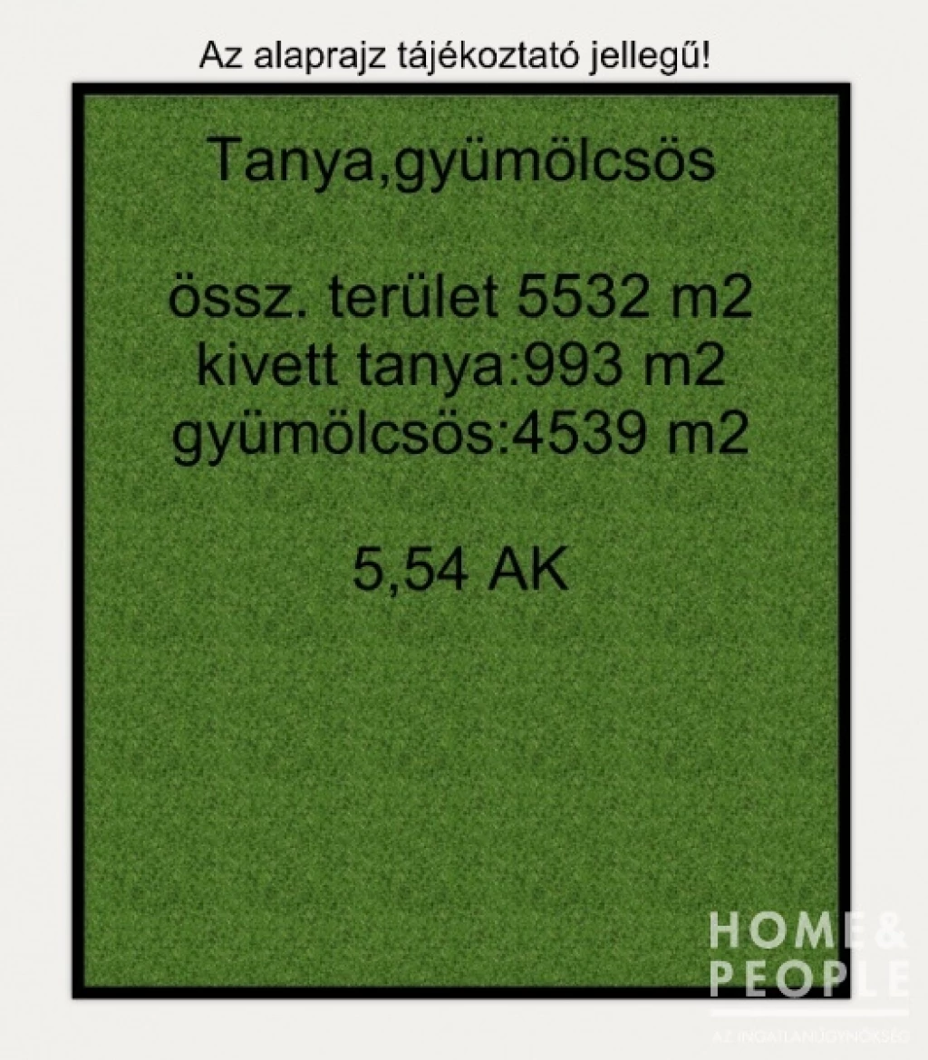 Tázlári tanyahely eladó!