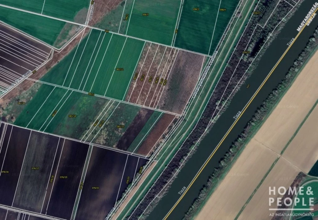 For sale other agricultural, Szeged, Gyálarét