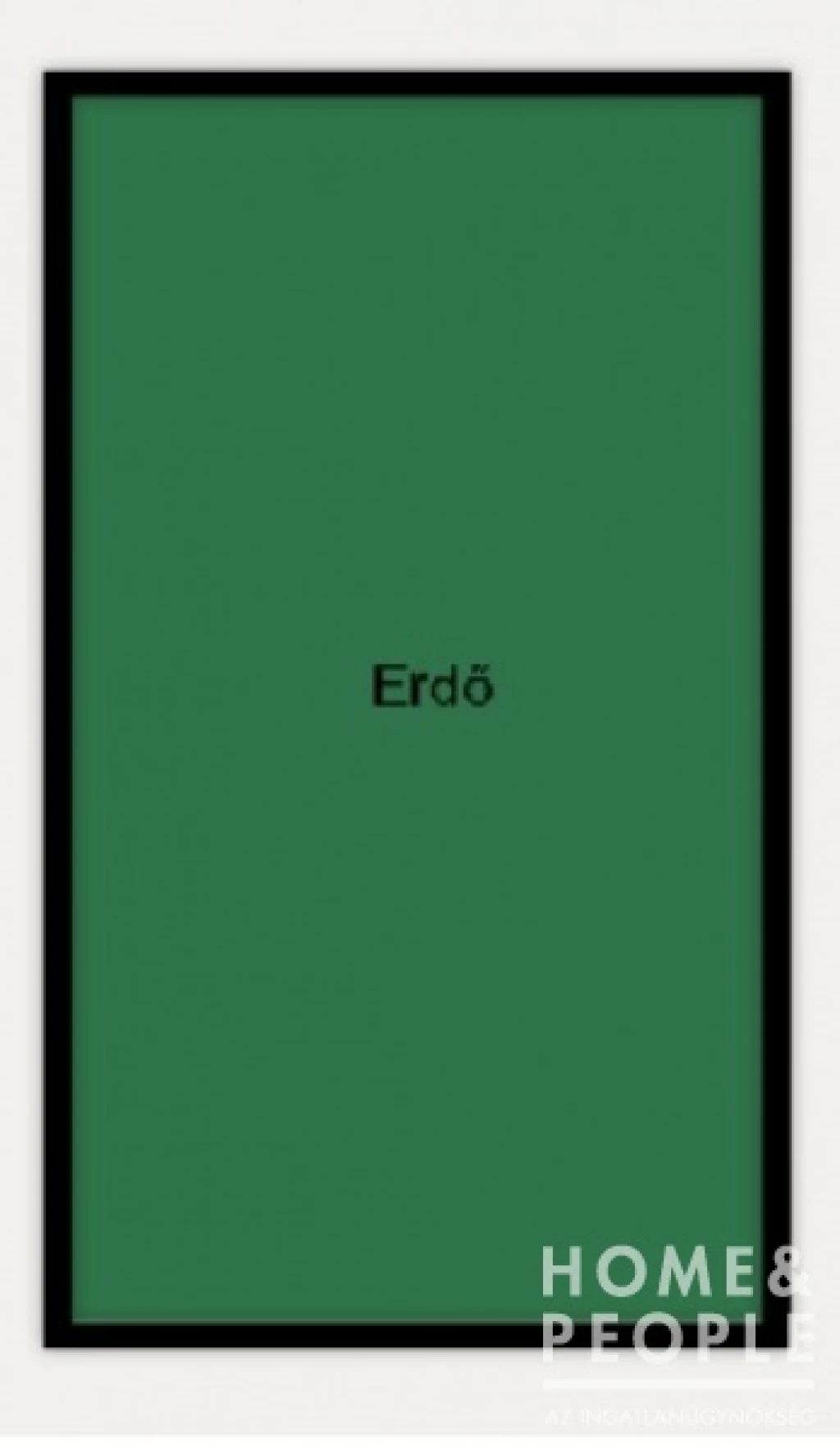 Eladó vágásérett nemesnyaras erdő