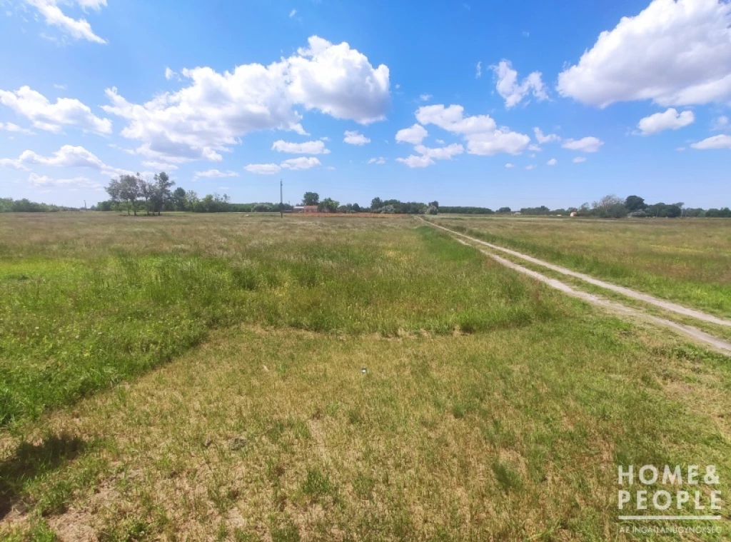 Eladó szántó Forrsáskúton!