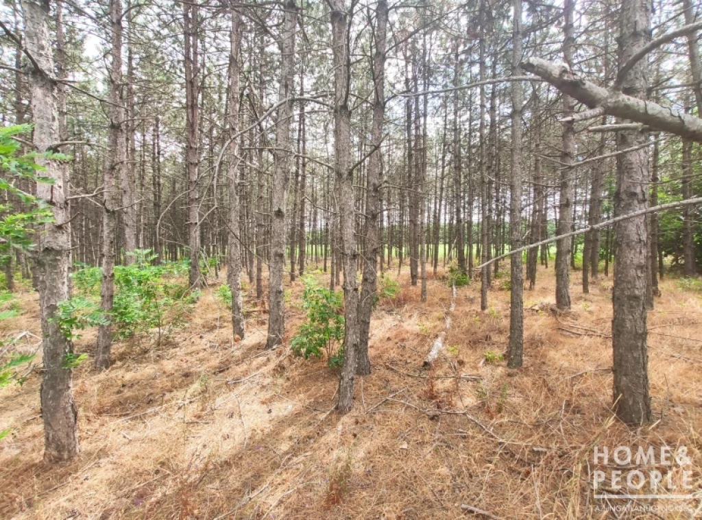 For sale other agricultural, Pusztamérges