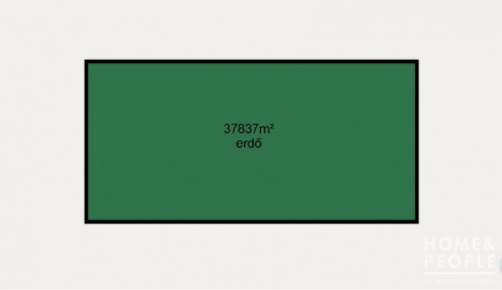 Eladó erdő Balotaszálláson