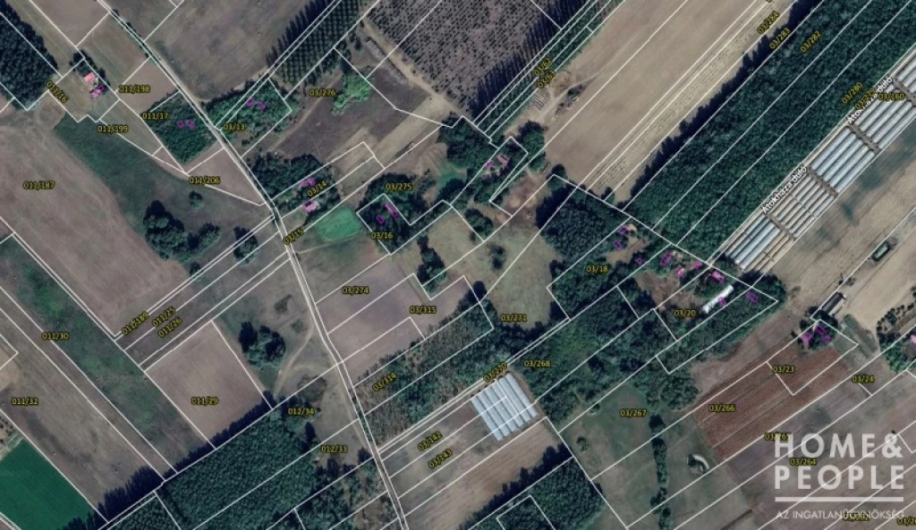 Eladó tanya Forráskúton!