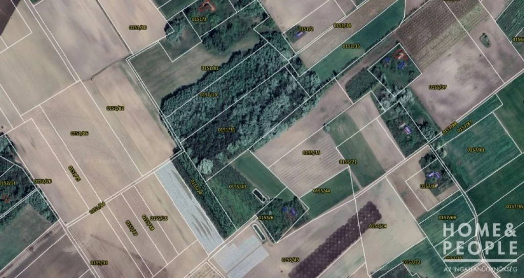 Eladó erdő Zákányszéken!