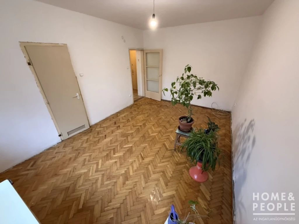 Eladó garzon Szeged belvárosában!