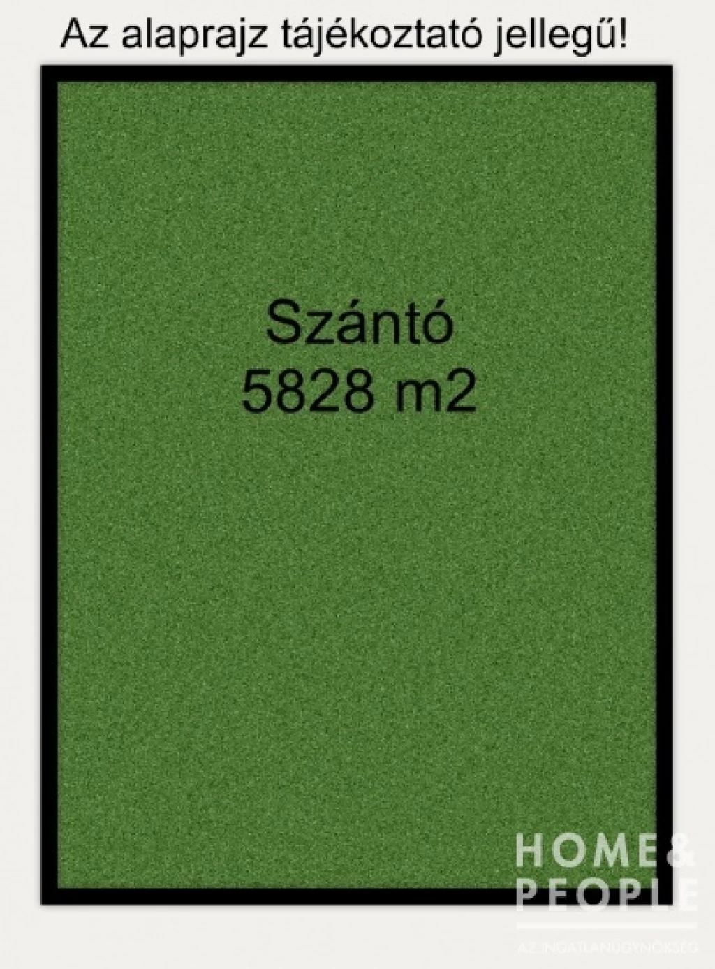 For sale other agricultural, Csanytelek