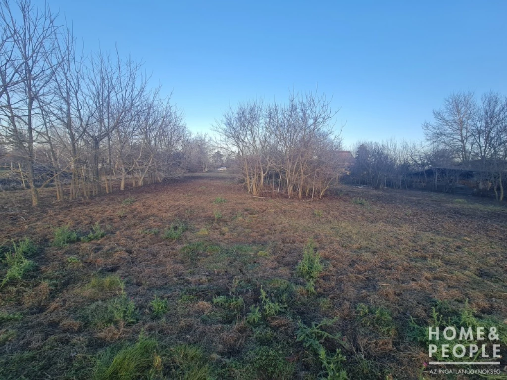 For sale building plot, Hódmezővásárhely