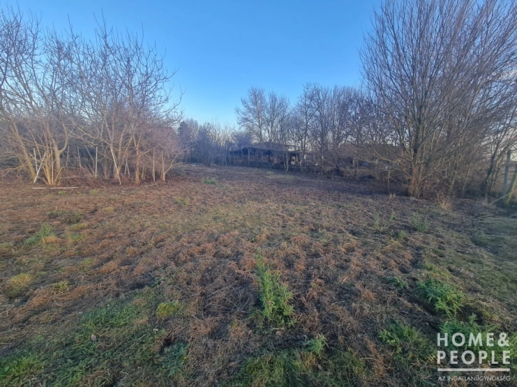 For sale building plot, Hódmezővásárhely