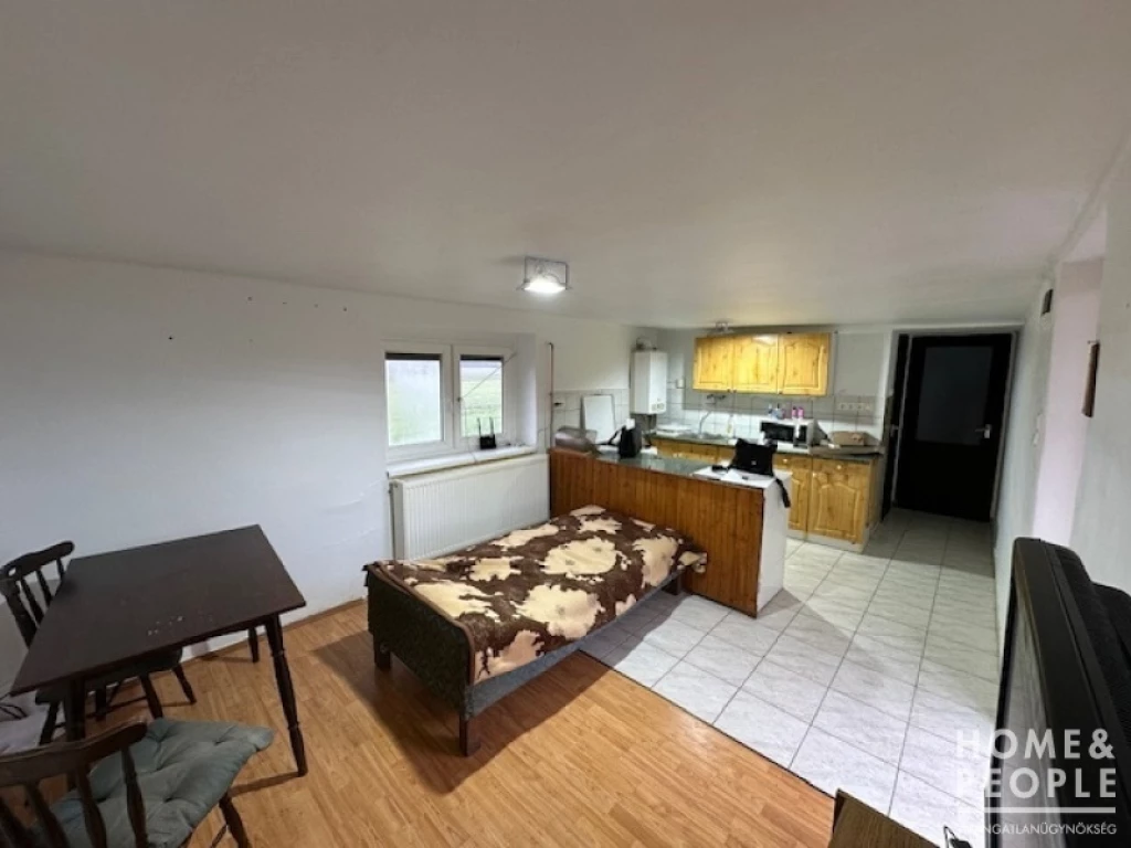 For sale house, Csanytelek