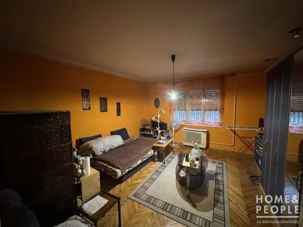 For sale house, Csanytelek
