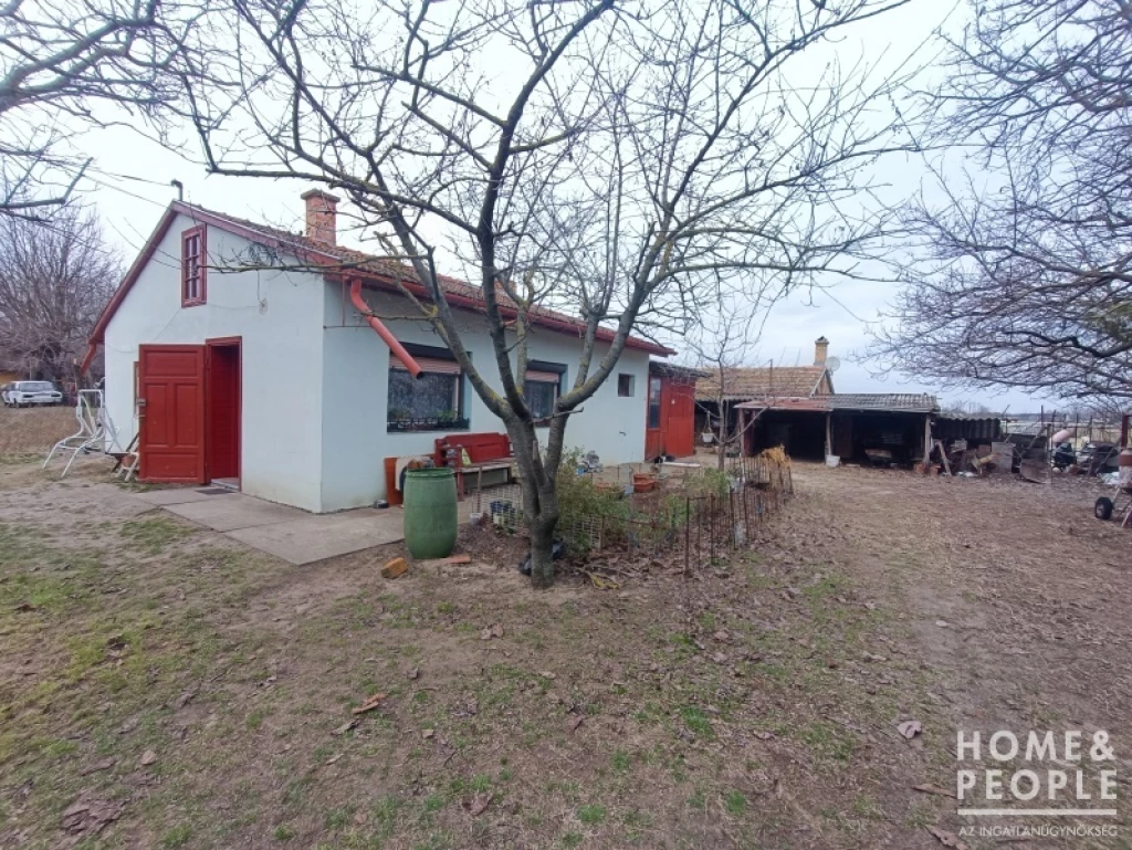 Zákányszéken 2 tanya együtt eladó!