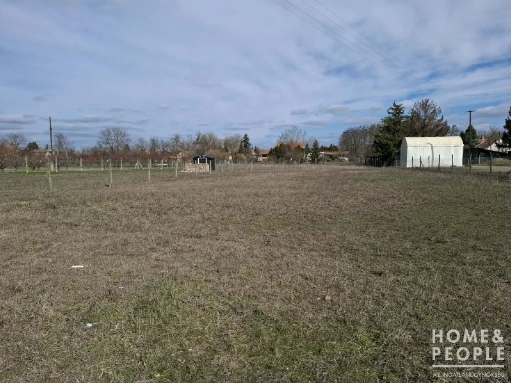 Szatymazi kert eladó!