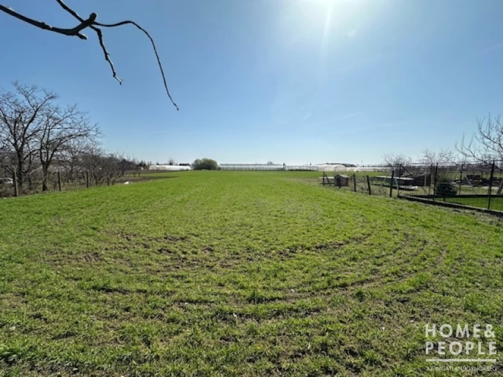 For sale building plot, Csanytelek